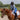 Equinavia Crown Mips Women's Equestrian Riding Helmet