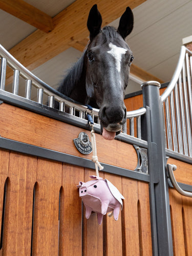 LeMieux Horse Toy Flying Pig One Size