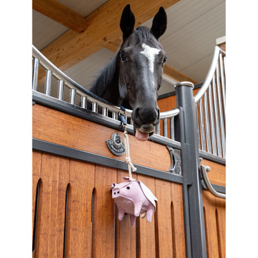 LeMieux Horse Toy Flying Pig One Size