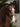 Lemieux HunterPro Bridle with laced reins