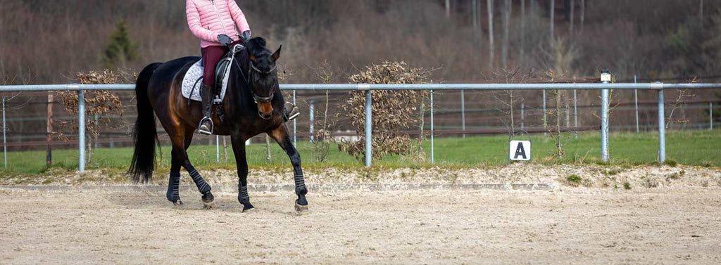 How Big is a Horse-Riding Arena?