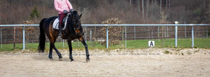 How Big is a Horse-Riding Arena?