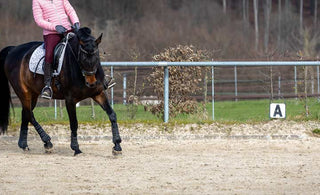 How Big is a Horse-Riding Arena?