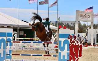 An English jumper clearing a fence