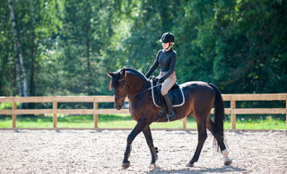Full Seat Breeches vs Knee Patch