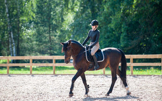 Full Seat Breeches vs Knee Patch