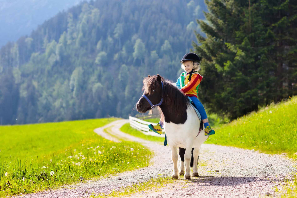 How Dangerous is Horse Riding?