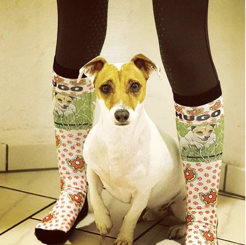 Equestrian Accessories