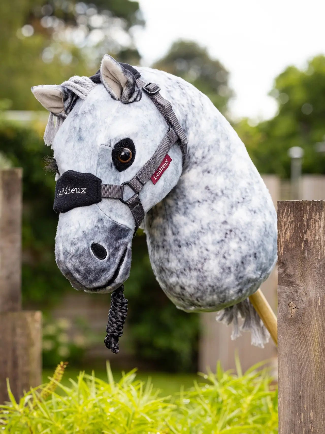 Lemieux Hobby Horse - Sam