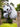 Lemieux Hobby Horse - Sam