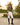 Women's Juliette PRO Compression White Performance Riding Breeches CriniereLife