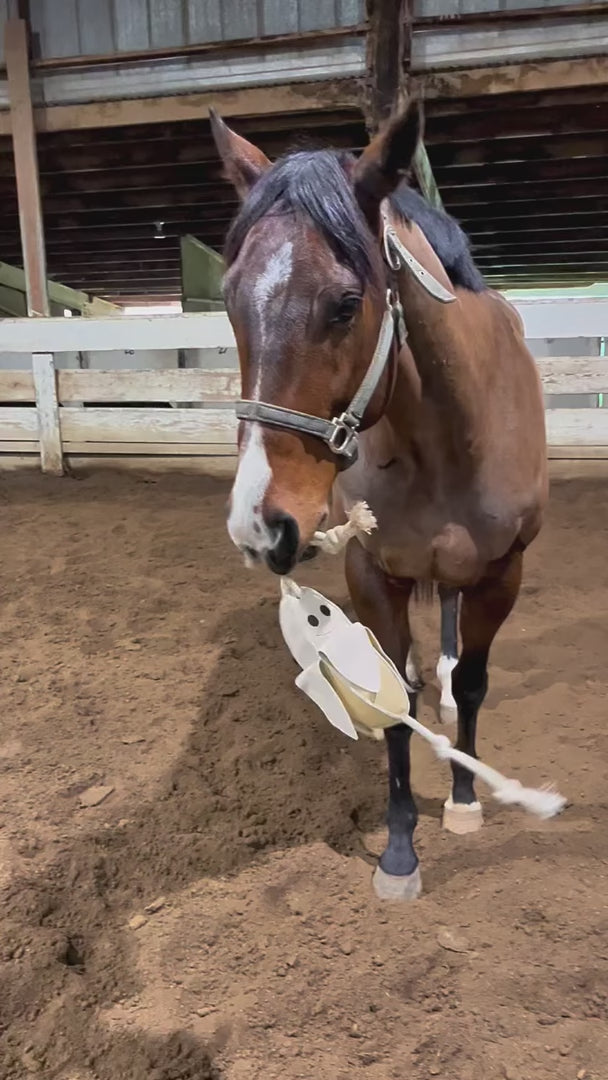 LeMieux Horse Toy Banana One Size