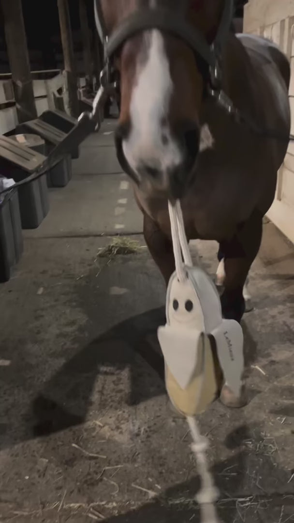 LeMieux Horse Toy Banana One Size