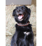 Penelope Pearl Dog Collar