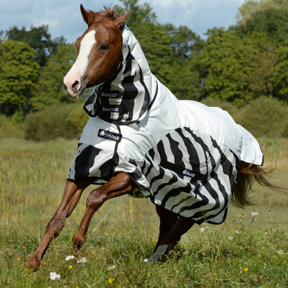 Baccus Zebra Buzz of Rain and Fly Sheet